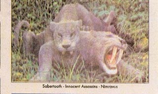 Two sculpted saber-toothed cats are shown in tall grass, one crouched with mouth open displaying large fangs.